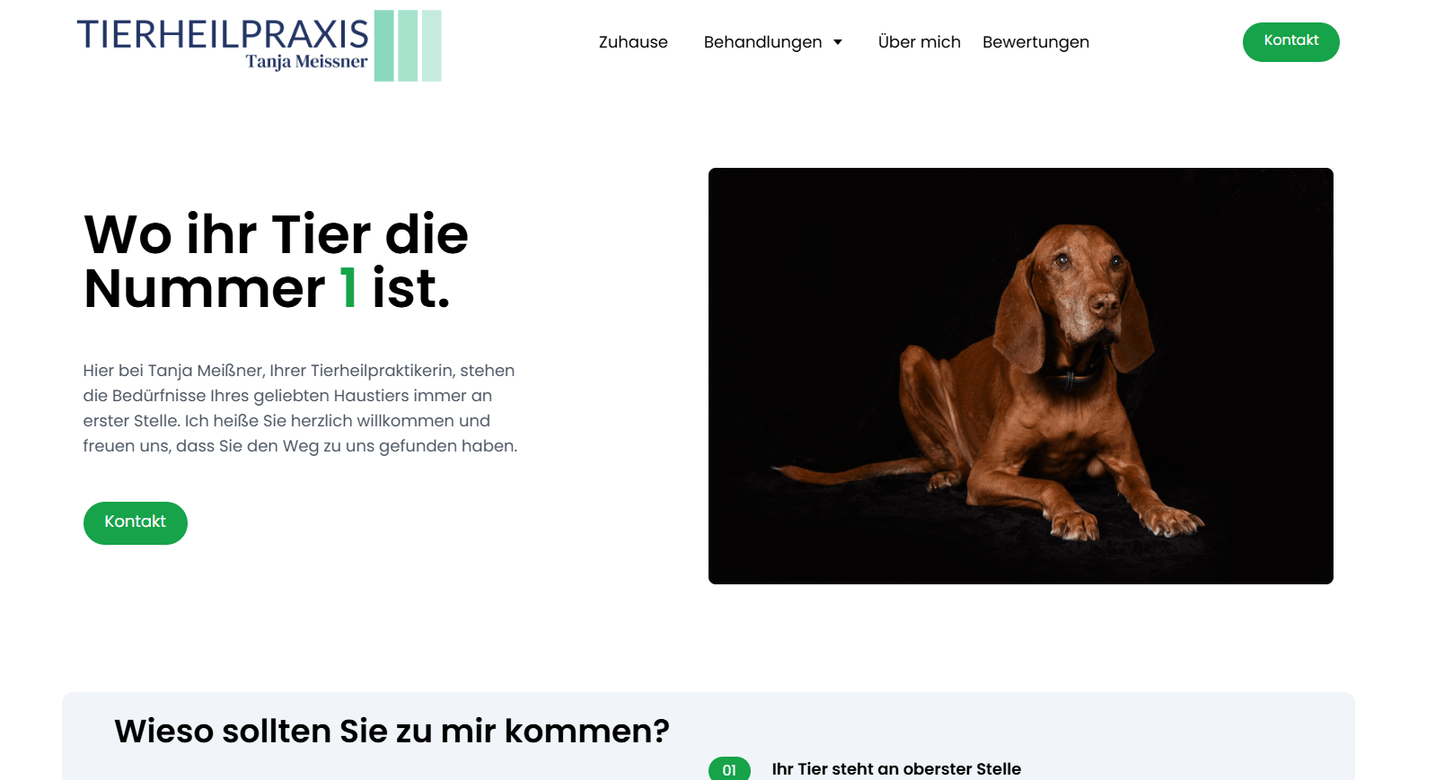 Website-Vorschau Tierheilpraxis Meissner